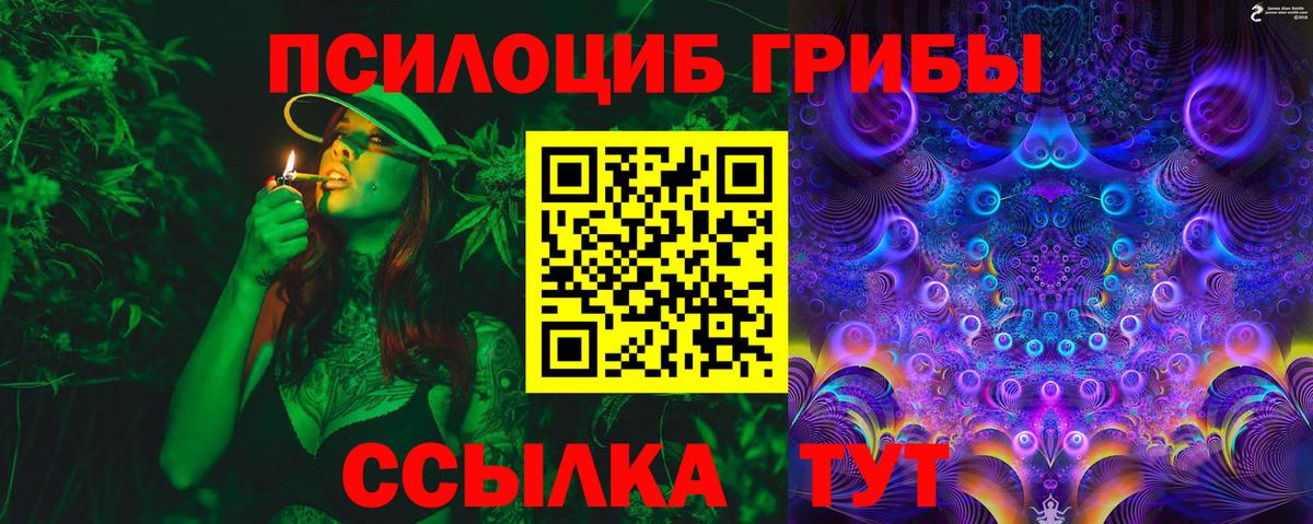 Галлюциногенные грибы MAGIC MUSHROOMS Соль-Илецк