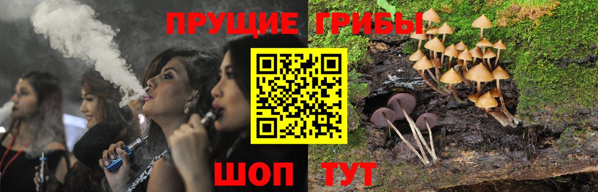 Псилоцибиновые грибы ЛСД  Вход с VPN  Псилоцибиновые грибы Psilocybe  где купить наркотик  Соль-Илецк 